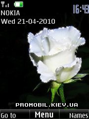   Nokia Series 40 - White rose