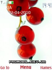   Nokia Series 40 - Currant