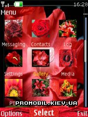   Nokia Series 40 - Red rose
