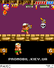   [Adventure Island]