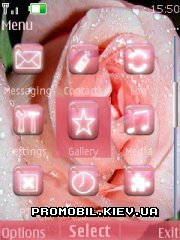   Nokia Series 40 - Pink roses