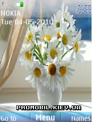   Nokia Series 40 - White flowers