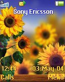   Sony Ericsson 128x160 - Sunflowers
