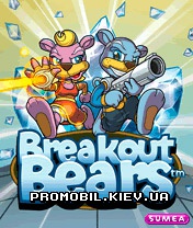   [Breakout Bears ]