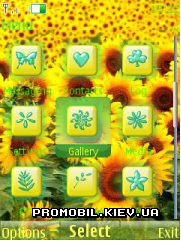   Nokia Series 40 - Sunflower