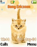   Sony Ericsson 128x160 - Cat Friend
