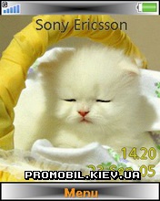   Sony Ericsson 240x320 - Cute Kitty
