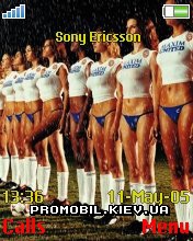   Sony Ericsson 176x220 - Football