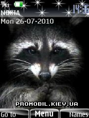  Nokia Series 40 - Raccoon