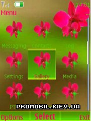   Nokia Series 40 - Orchids