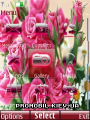   Nokia Series 40 - Roses