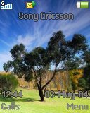   Sony Ericsson 128x160 - Tree