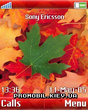   Sony Ericsson 176x220 - Leaves