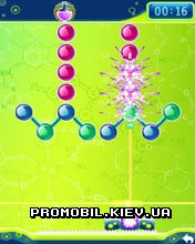  [Molecules]