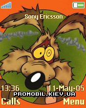   Sony Ericsson 176x220 - Oops