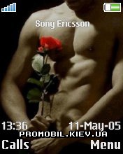  Sony Ericsson 176x220 - Sexy