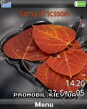   Sony Ericsson W902i - Leaves