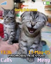   Sony Ericsson 176x220 - Kittens