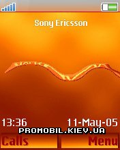   Sony Ericsson 176x220 - Orange Walkman