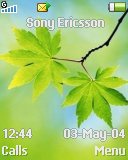   Sony Ericsson 128x160 - Leaf