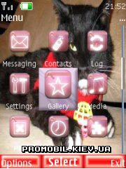   Nokia Series 40 - Pink cat