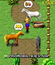   :   [Horse & Pony - My Stud Farm]