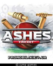    [Ashes Cricket]