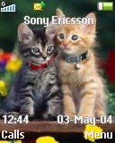   Sony Ericsson 128x160 - Cute Kitties