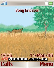   Sony Ericsson 176x220 - Funny Animated