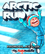   [Arctic Run]