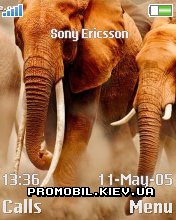   Sony Ericsson 176x220 - Animals
