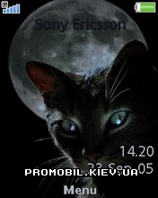   Sony Ericsson 240x320 - Black Cat