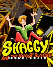    Shaggy and the Ghost Blocks