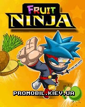    Fruit Ninja