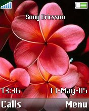   Sony Ericsson 176x220 - Lovely Flower
