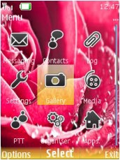   Nokia Series 40 - Rose